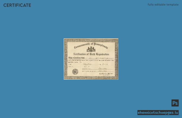 Beispielansicht einer Geburtsurkunde des Commonwealth of Pennsylvania, USA